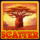 Grand Koala Hold ‘N’ Link by NetGame Symbol Scatter